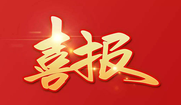 喜报！热烈祝贺耐氟隆集团荣获2022年温州市高成长型工业企业！